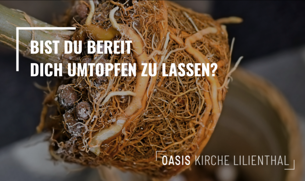 Bist du bereit, dich umtopfen zu lassen? Image