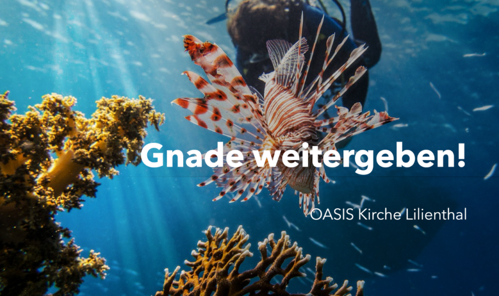 Teil 3 - Gnade weitergeben! Image