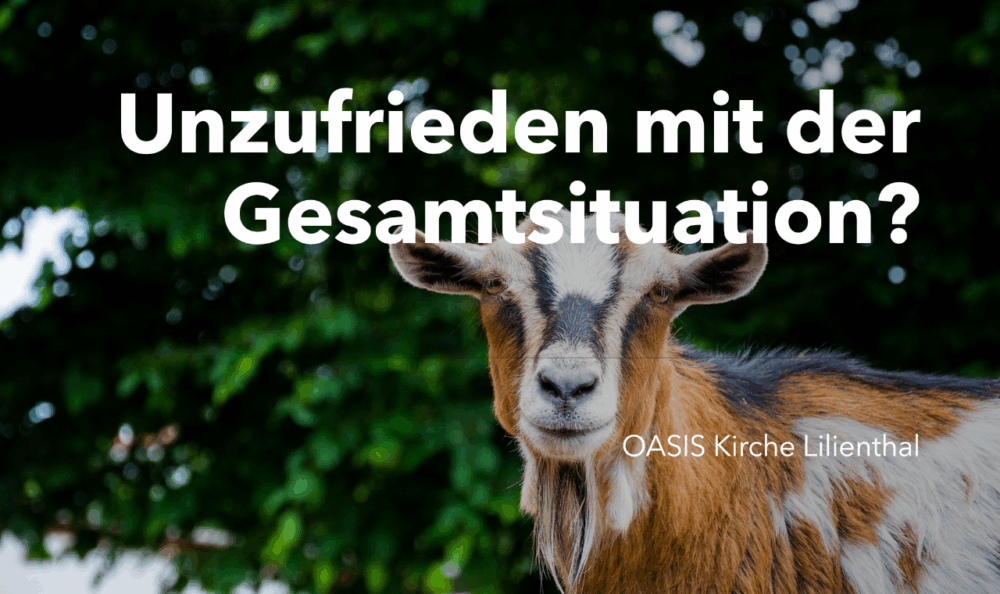 Unzufrieden mit der Gesamtsituation? Image